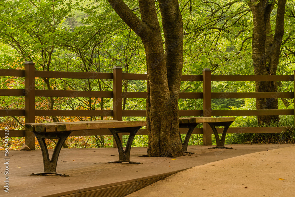 Two park benches on wooden deck in recreational forest Two park benches on wooden deck in recreational forest
