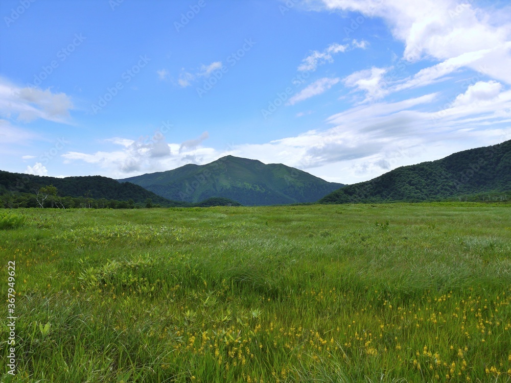 尾瀬ヶ原 至仏山4 尾瀬ヶ原 至仏山4
