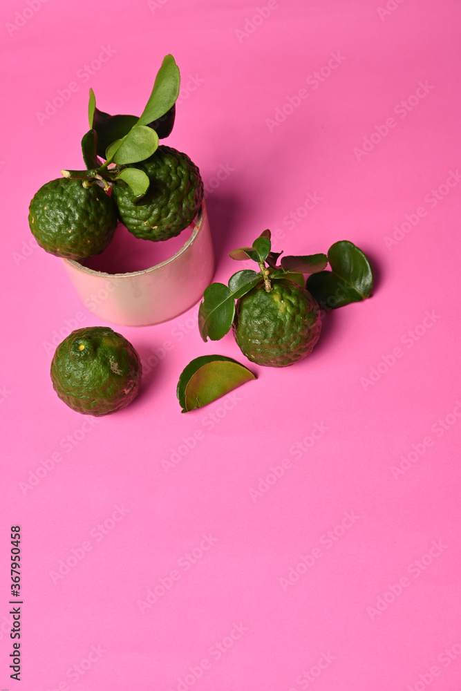 Fresh kaffir lime ( bergamot / citrus hystrix D.C ) isolated on colorful background Fresh kaffir lime ( bergamot / citrus hystrix D.C ) isolated on colorful background