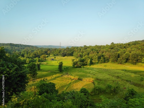 Wallpaper Mural road in the field Torontodigital.ca