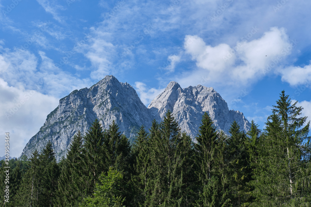 Mountains peaks behind the forest