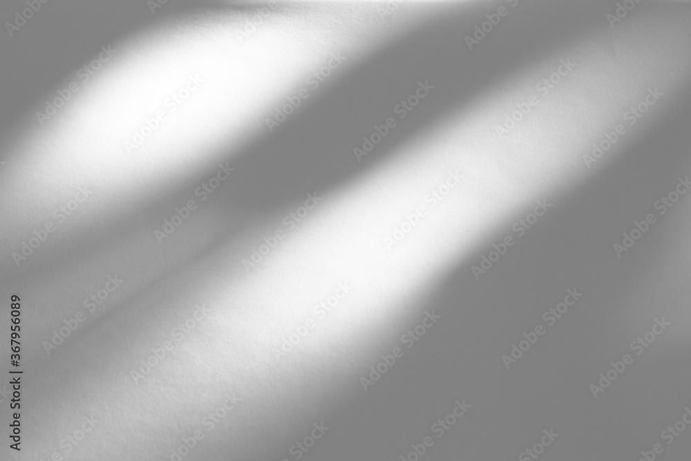 Blurred overlay effect for photo. Organic drop shadow and dappled light on  a white wall. Abstract neutral nature concept background for design  presentation. Shadows for natural light effects Stock Photo | Adobe