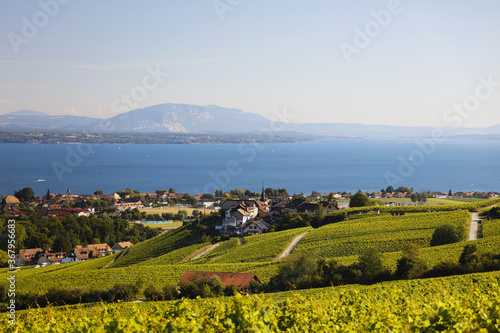 Panoramic view of the village of Féchy in Switzerland