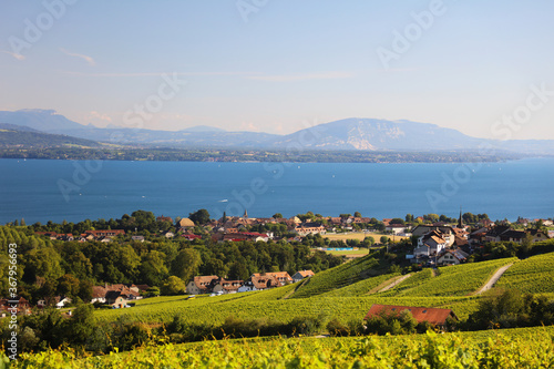 Rolle et Perroy vu des vignes de Mont-sur-Rolle