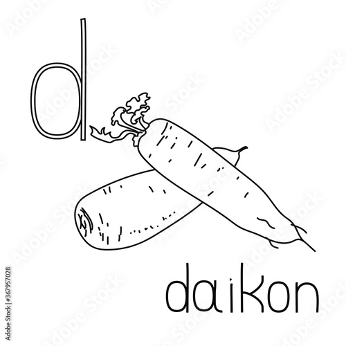 Coloring page fruit and vegetable ABC, Letter D - daikon, educated coloring card