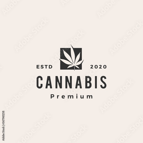 cannabis hipster vintage logo vector icon illustration
