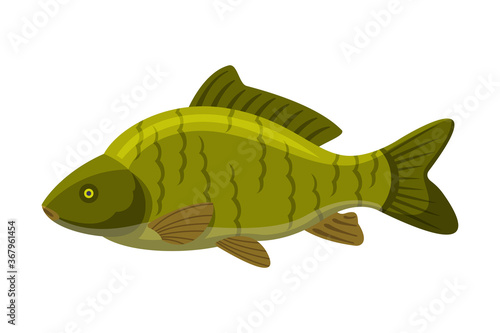 Largemouth Freshwater Fish, Fresh Aquatic Fish Species Cartoon Vector Illustration