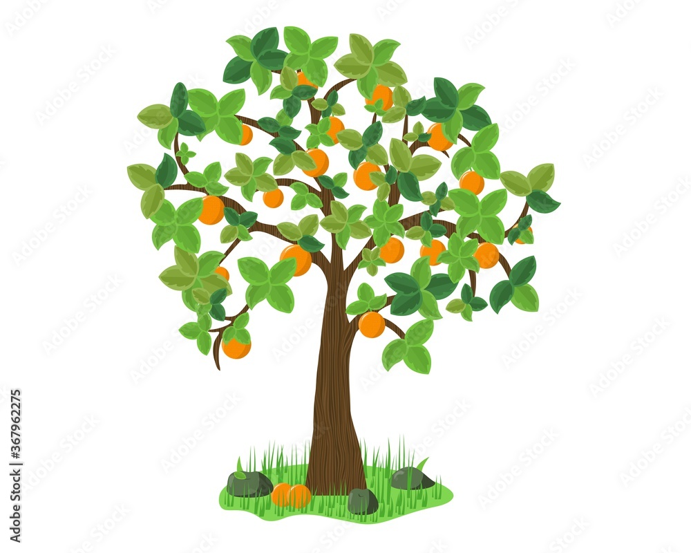Orange tree on grass. Vector design Illustration.