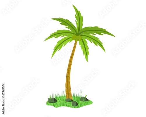 Coconut tree on grass. Vector design Illustration.