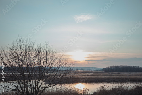 Beautiful landscape with pond  tree silhouette and sun going down