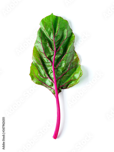 Fotografía One swiss chard leaf isolated on white background