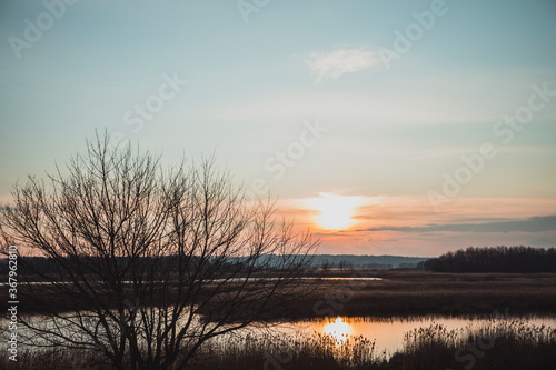 Beautiful landscape with pond, tree silhouette and sun going down