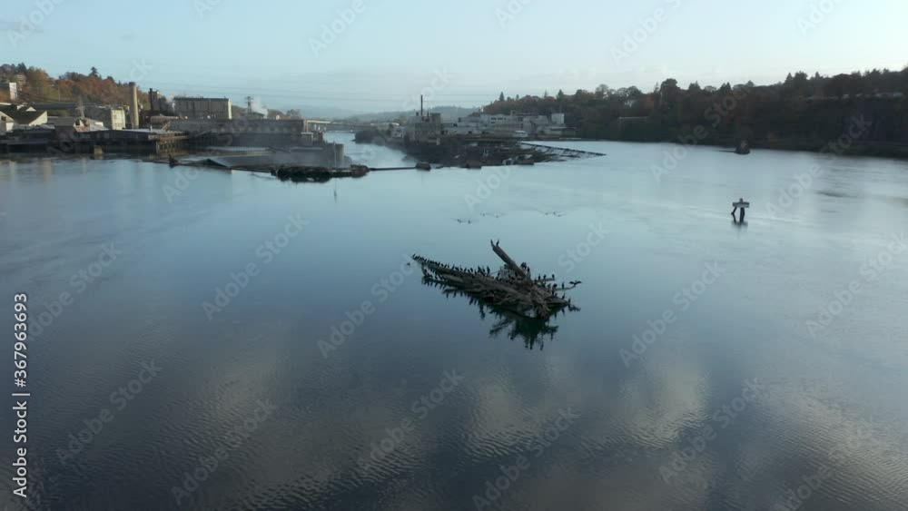 log full of birds near willamette falls