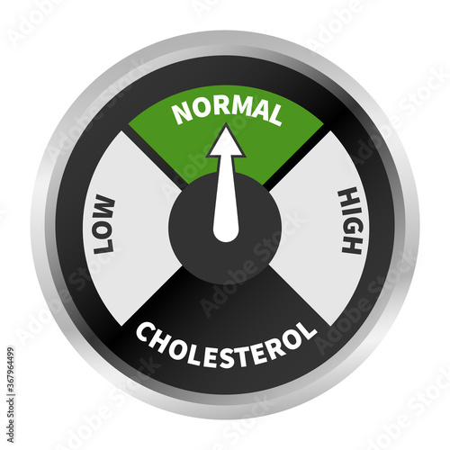 Indicator showing normal cholesterol level.