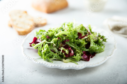 Healthy mixed green salad