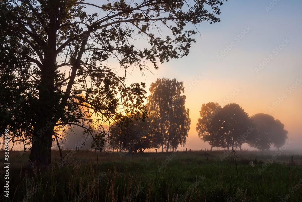 Letni poranek z mgłami w Dolinie Narwi, Podlasie, Polska Letni poranek z mgłami w Dolinie Narwi, Podlasie, Polska