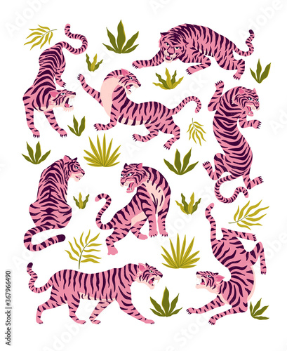 Set of pink tigers and tropical leaves. Trendy illustration.