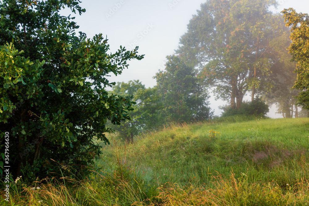 Letni poranek z mgłami w Dolinie Narwi, Podlasie, Polska