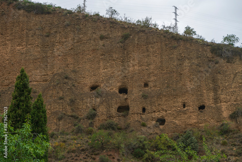 cliff surrounded by trees