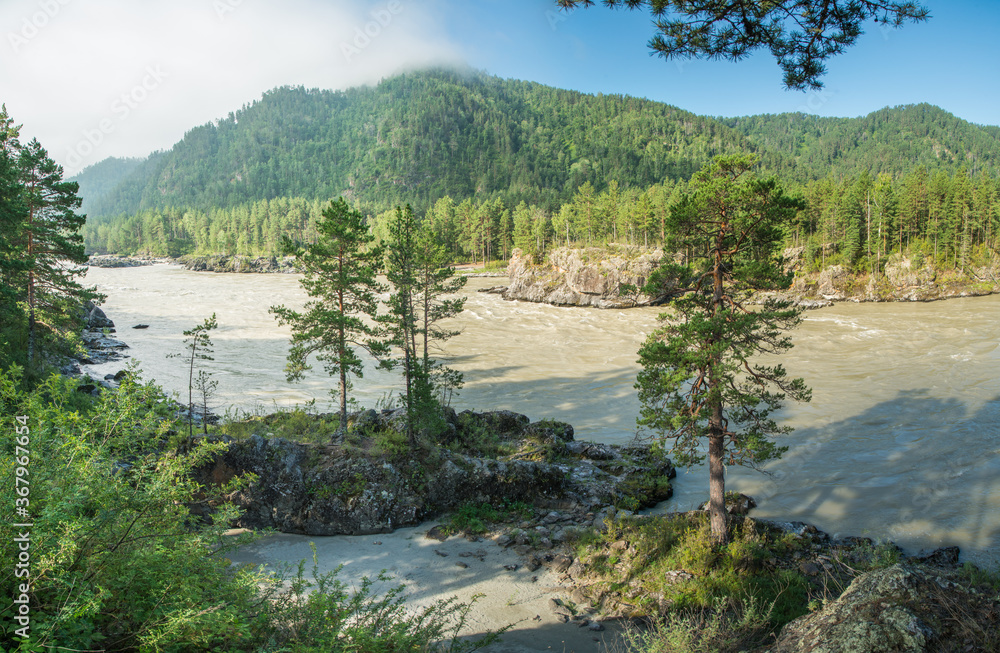 View of the Katun river, Altai. Summer greenery, morning light. View of the Katun river, Altai. Summer greenery, morning light.