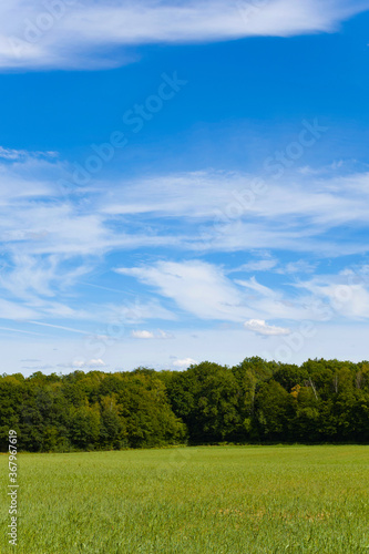 Cette photo a été prise vers Nevers, dans la Nièvre, en Bourgogne, en France, en été, en drone. Elle montre la campagne avec une prairie verdoyante et une forêt en arrière plan.