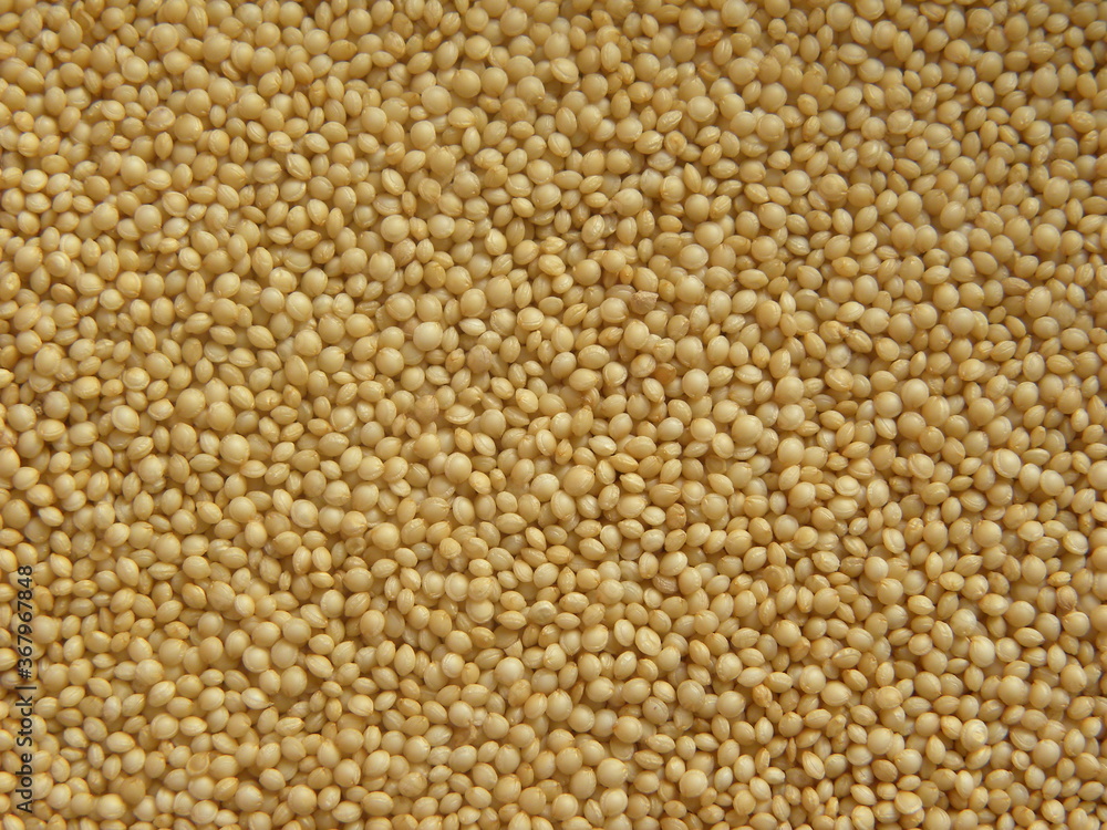 Beige color raw whole Amaranthus seeds Beige color raw whole Amaranthus seeds