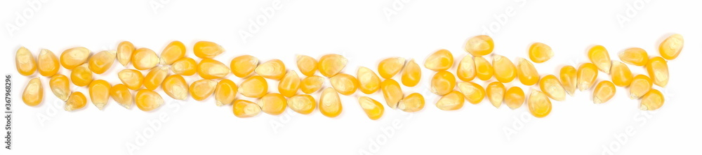 Corn kernels, popcorn row, line isolated on white background, top view Corn kernels, popcorn row, line isolated on white background, top view