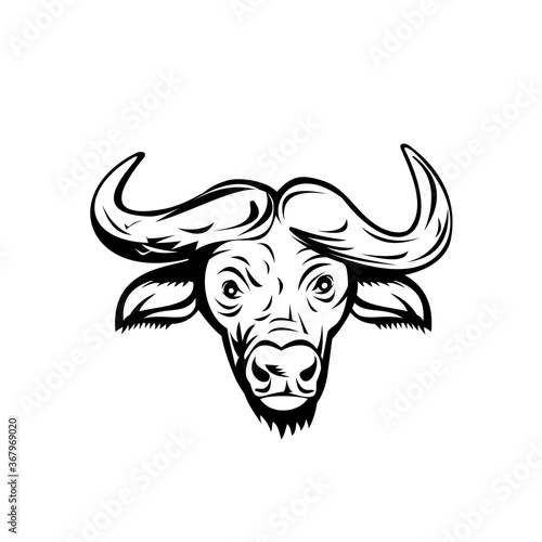 Head of an African Buffalo or Cape Buffalo Front View Retro Black and White