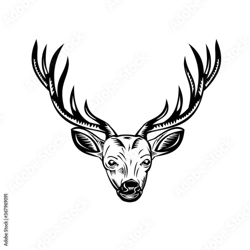 Head of Stag Buck or Deer Front View Retro Woodcut Black and White
