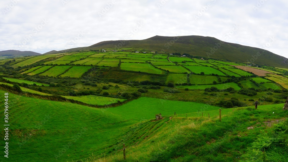 Obraz premium green field landscape