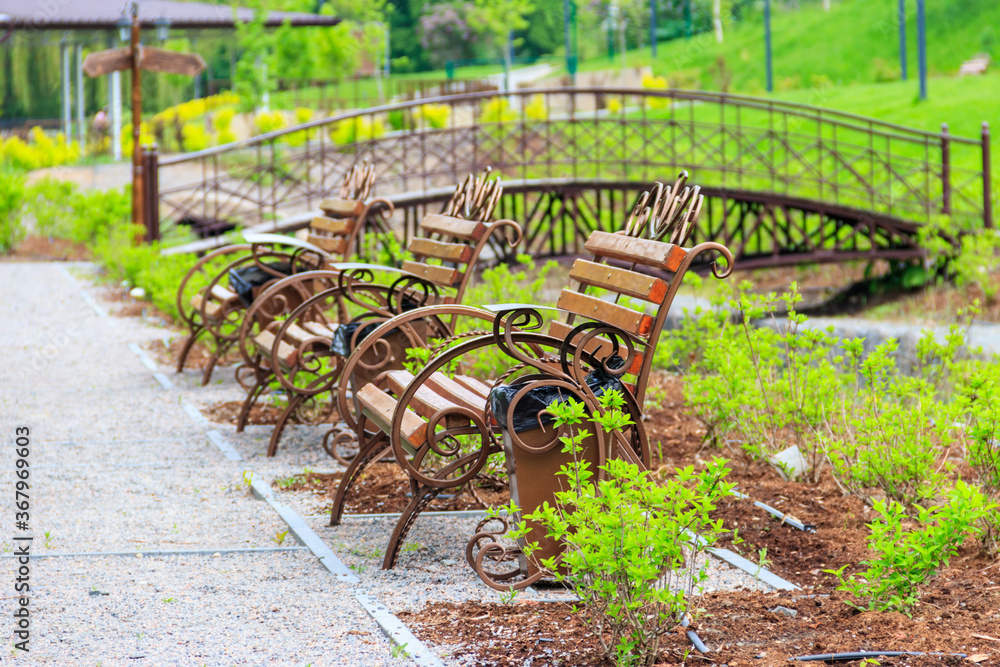 Wooden benches in a city park