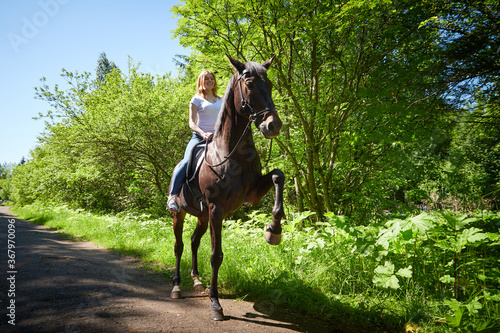Slim girl and a brown horse in a Park on a Sunny day and green trees in the background. Young woman rides a horse.