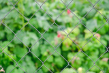 Metal diamond mesh fence with green garden on background. Private property fencing concept.