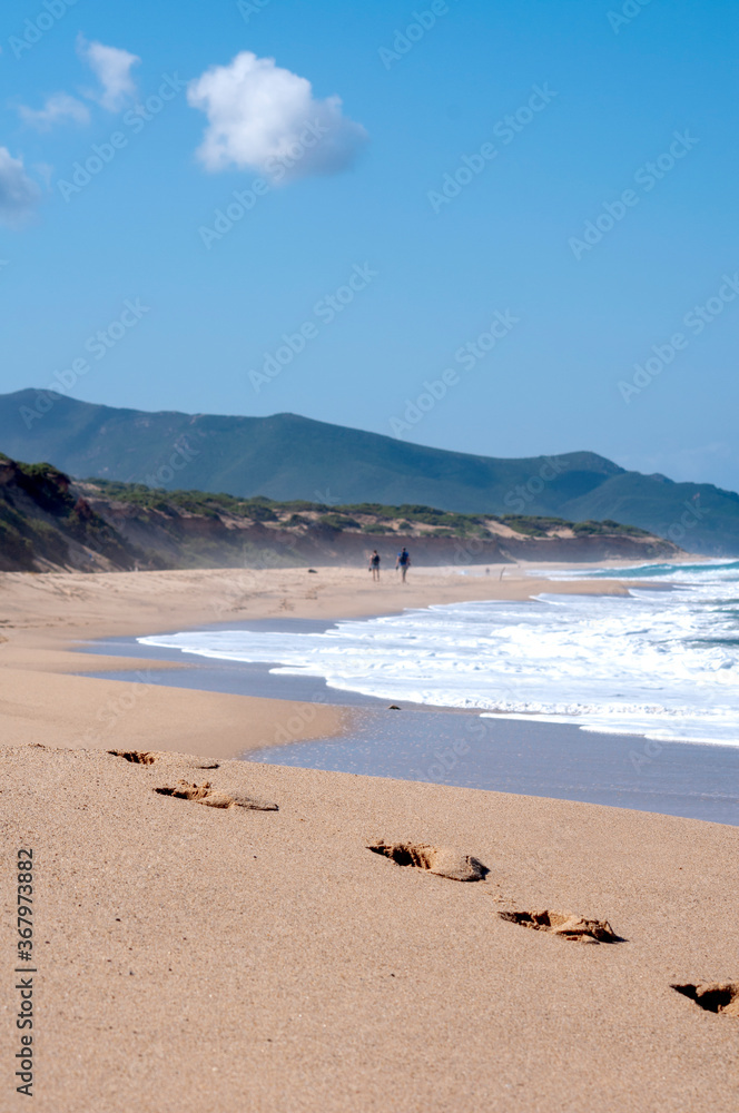 sand dunes and wild beach of Piscinas, west sardinia