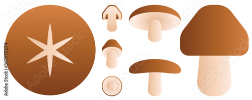 Vegetables and fruits illustration