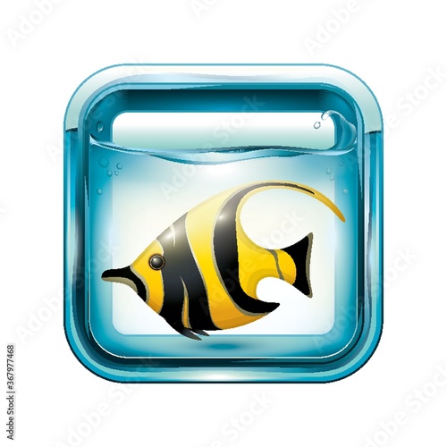 angel fish in an aquarium