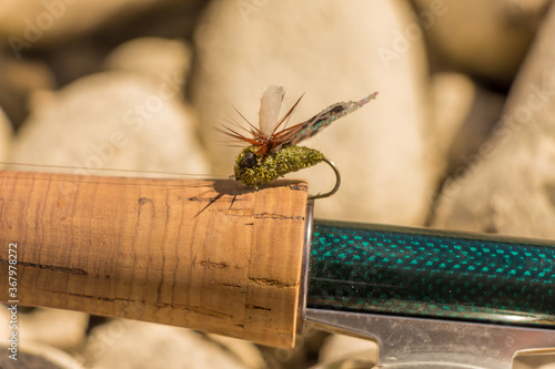 A macro shot of an artificial cicada fly for fishing for trout photo