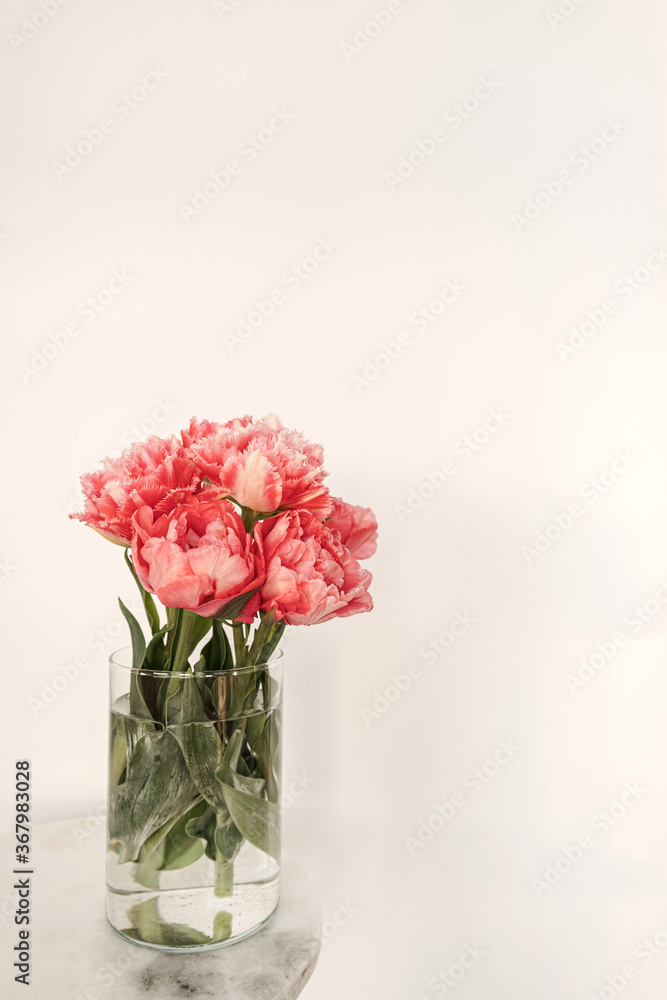Obraz premium Beautiful pink peony flowers bouquet in glass vase on marble table on white background. Beauty floral composition. Minimal interior design decoration