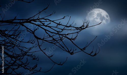 The silhouette of a spooky bare branch halloween tree against a winter blue night sky with a glowing full moon behind the clouds