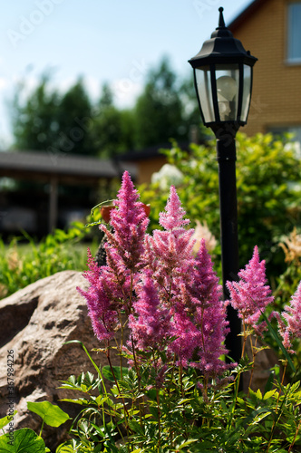 street lamp and flowers