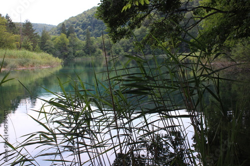 Fototapeta Naklejka Na Ścianę i Meble -  Plitvice lakes, Croatia, natural waterfalls and streams of water in the park, landscape image