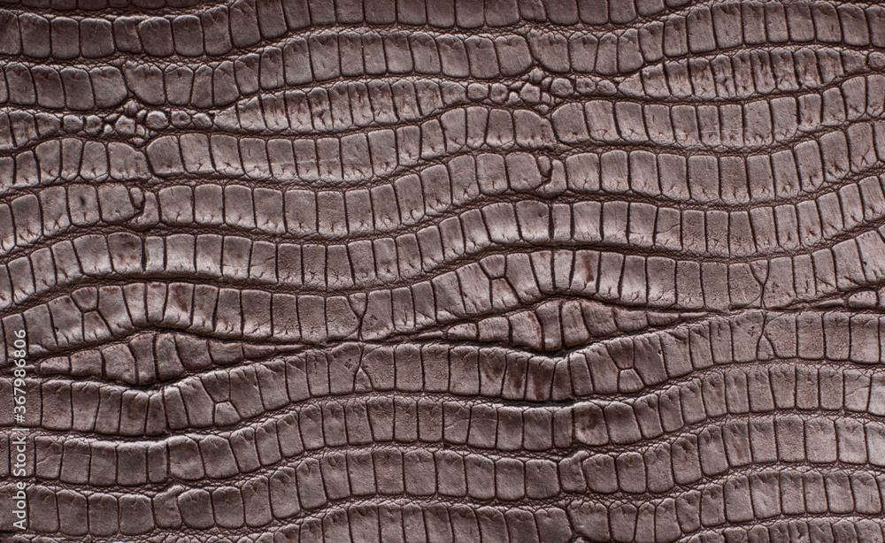 Fototapeta premium crocodile leather texture background