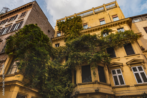 A building facade covered with creeper in Via Angelo Brunetti between the lively and popular Trastevere neighbourhood and Via del Corso conveys comfort, touristic and well being concept - Rome, Italy