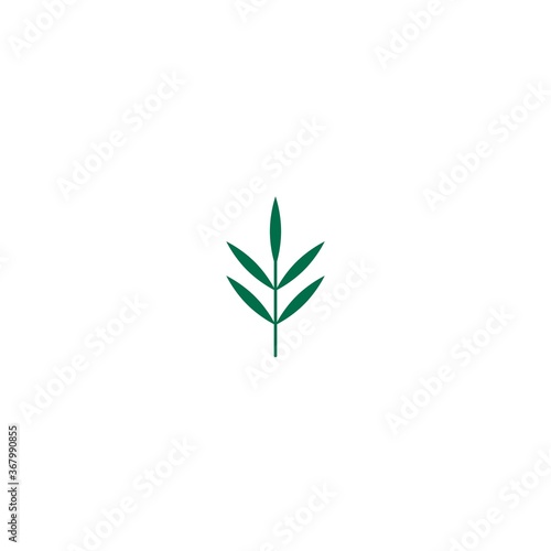 Green rosemary twig  shoot  sprig. Icon Isolated on white. Logo for eco company