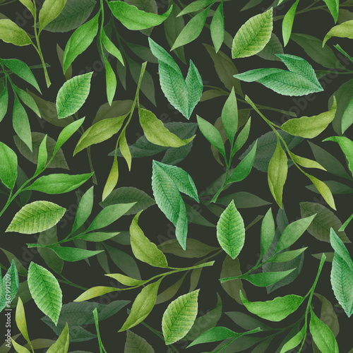 Watercolor seamless pattern with green hand drawn tea leaves and branches isolated on black background. Botanical illustration for textile design, print, fabric, wallpaper