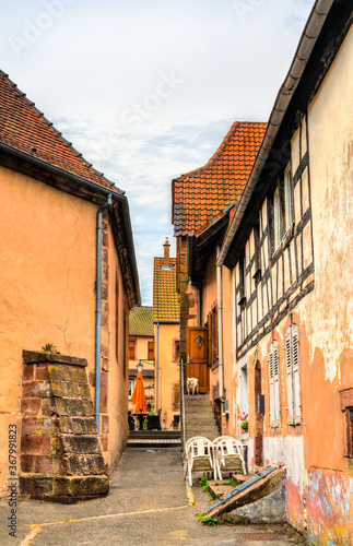 Traditional houses in la Petite-Pierre town - Alsace  Bas-Rhin  France