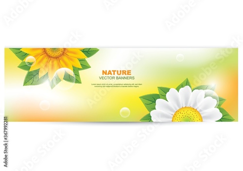 nature banner with sunflower