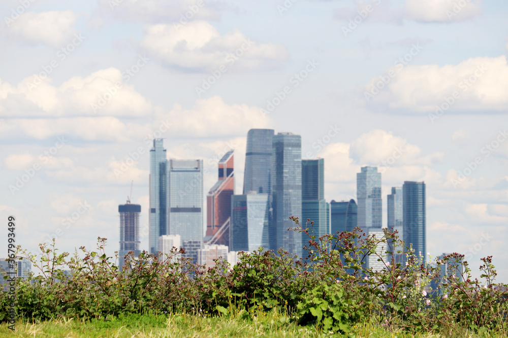 View to skyscrapers of Moscow city through the grass and flowers, selective focus. Futuristic city in summer, concept of urbanization