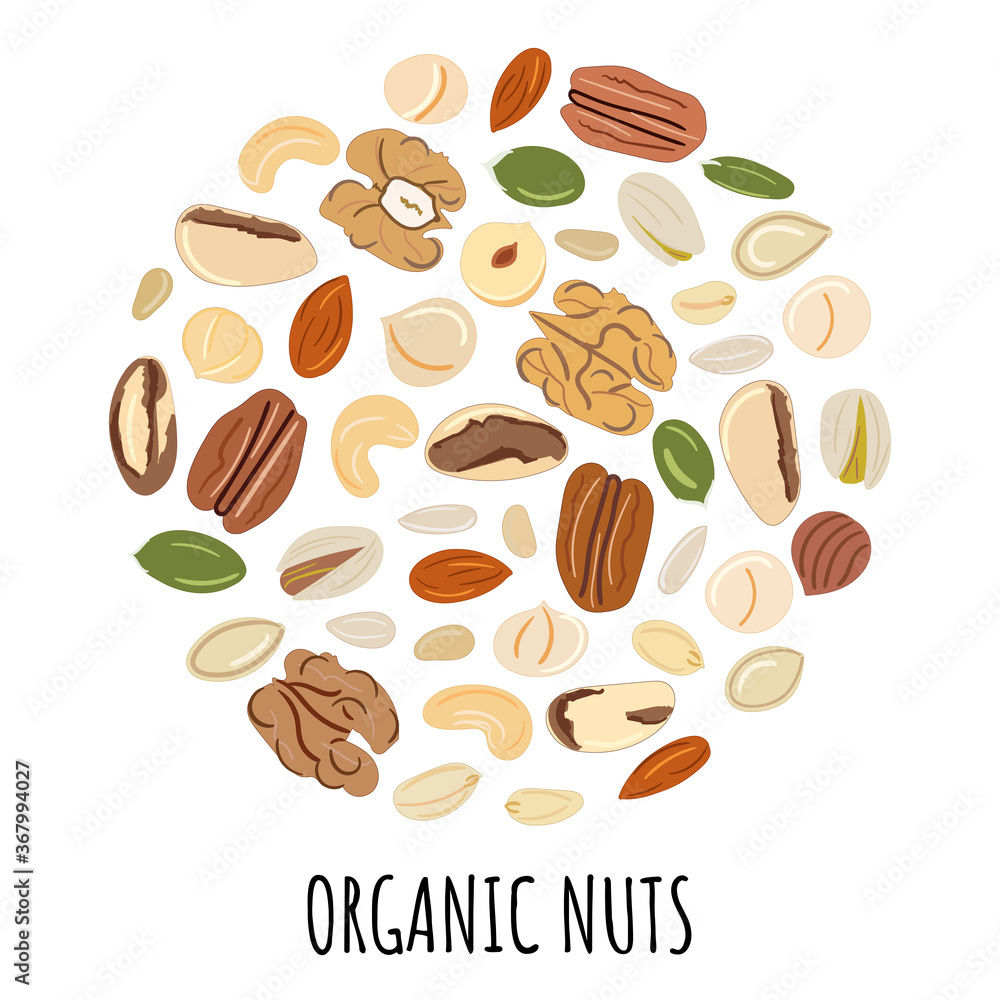 Fototapeta premium Banner template with nuts and seeds in circle.