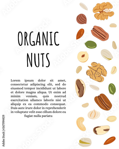 Template with border with nuts and seeds. Kitchen, cooking print and banner.